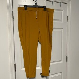 J. Crew Women's Golden Trousers NWT